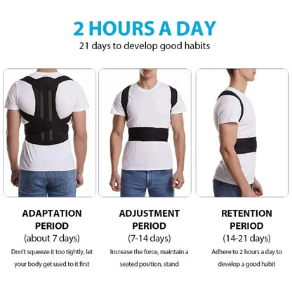 Support Brace & Lumbar Posture Corrector